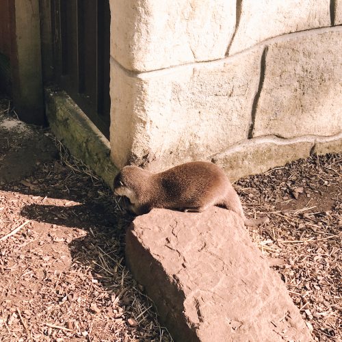 Home 2 svg+xml;charset=utf