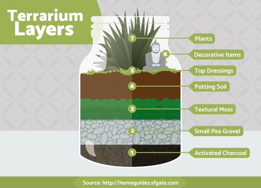 terrarium layers 001