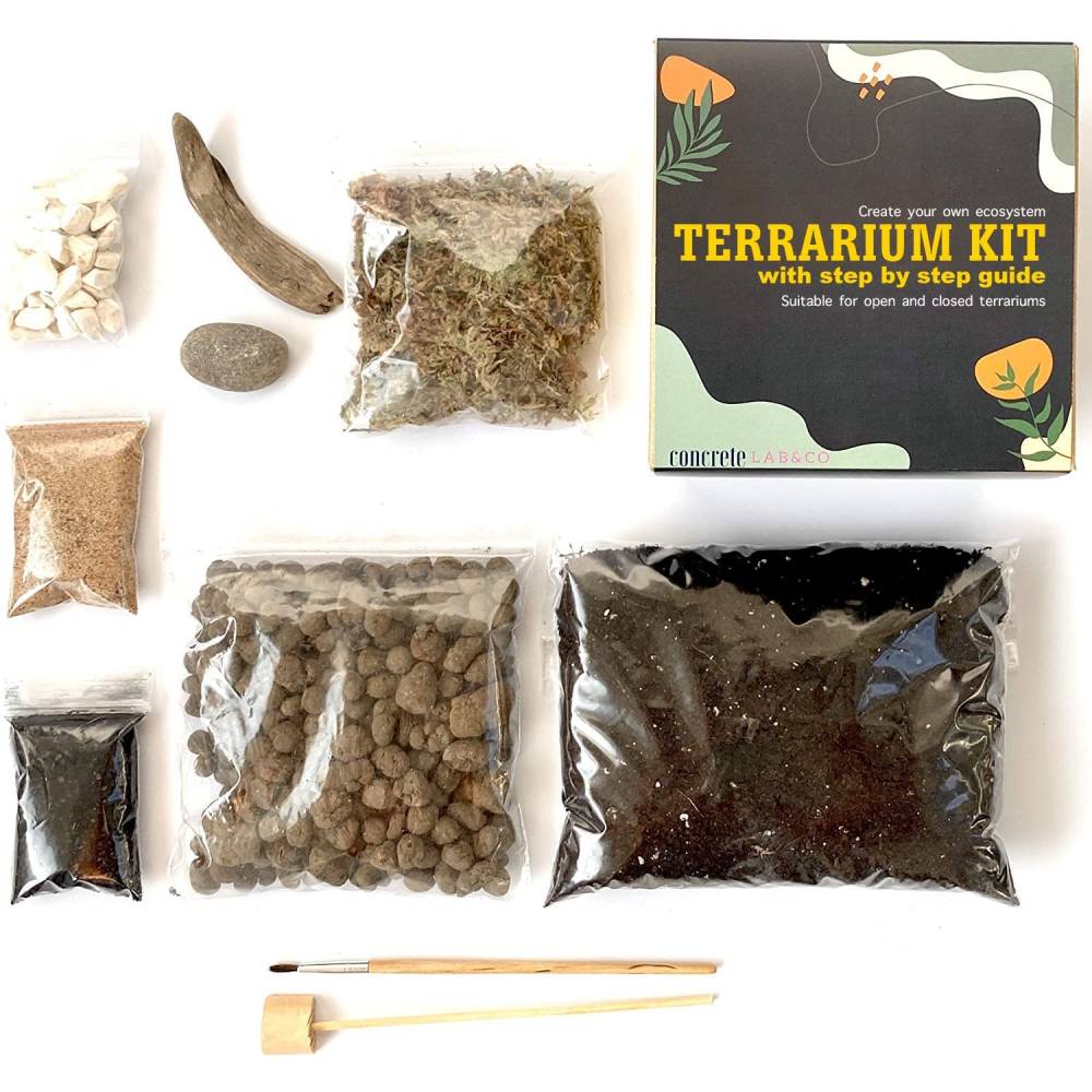 Concrete Lab Co Terrarium Kit