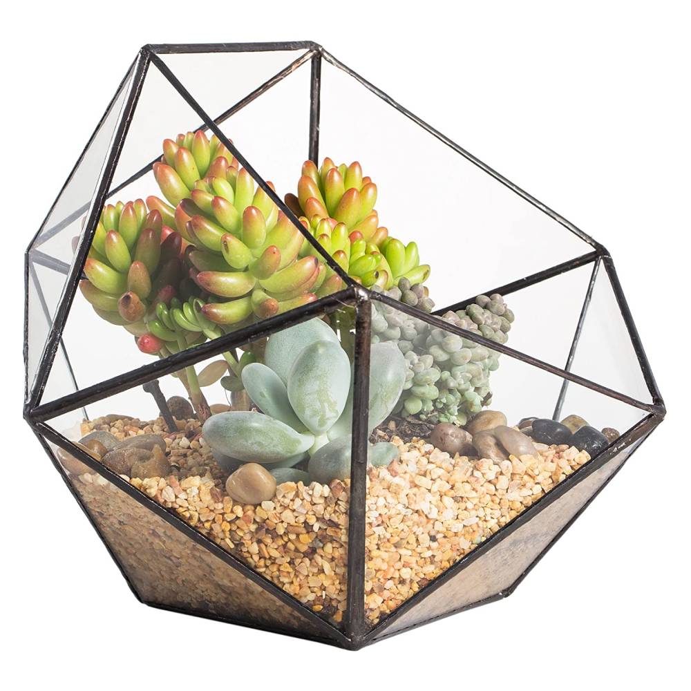 NCYP Modern Handmade Triangular Half Ball Glass Geometric Terrarium