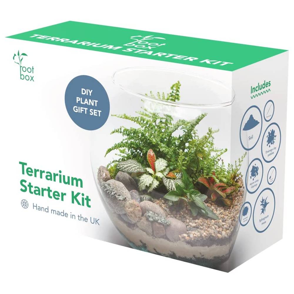root box Terrarium kit