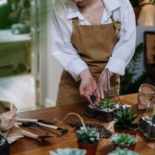 Home 3 svg+xml;charset=utf