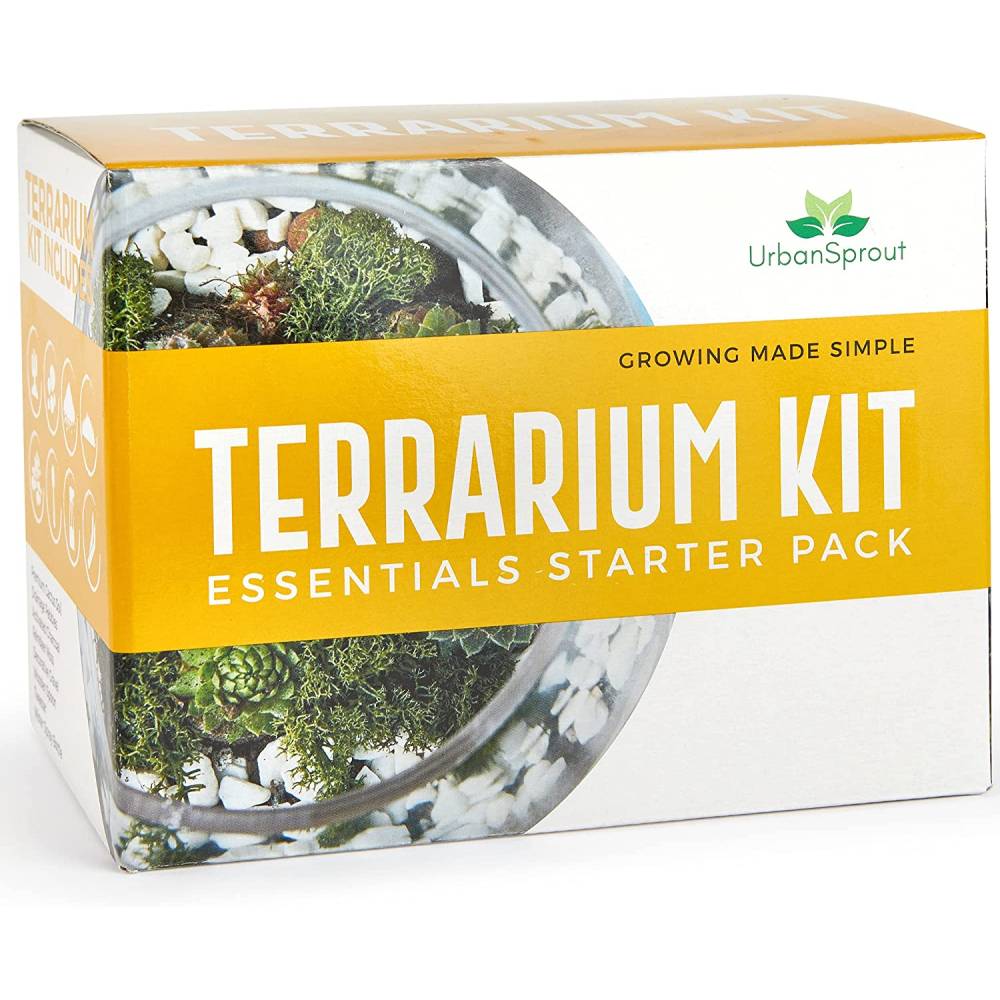 urban sprout Terrarium kit 1