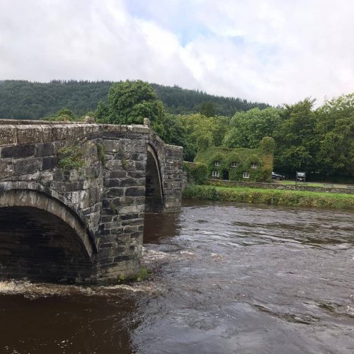 Home 3 svg+xml;charset=utf