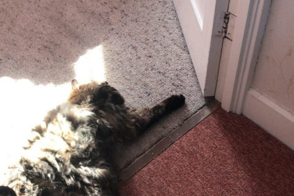 couples guide to buying a house1 couples guide to buying a house1