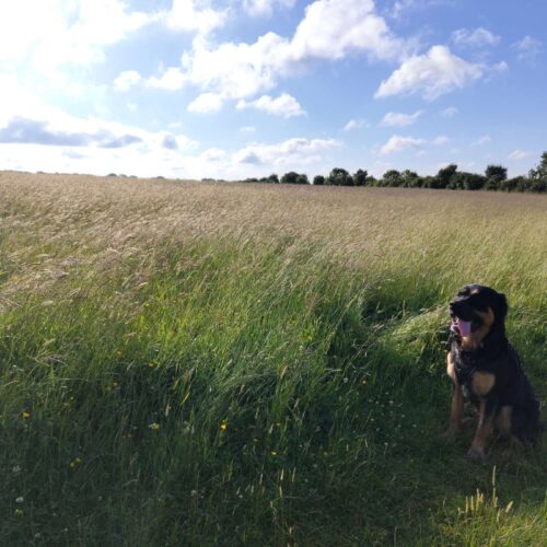 Home 4 svg+xml;charset=utf